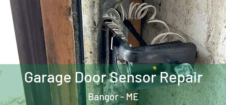Garage Door Sensor Repair Bangor - ME