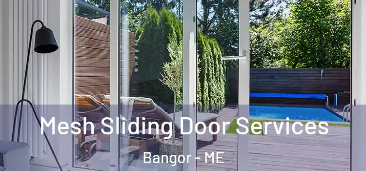 Mesh Sliding Door Services Bangor - ME